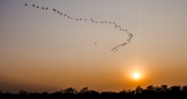 Podróż w stare strony - odzyskanie siły i wolności - Bert Hellinger