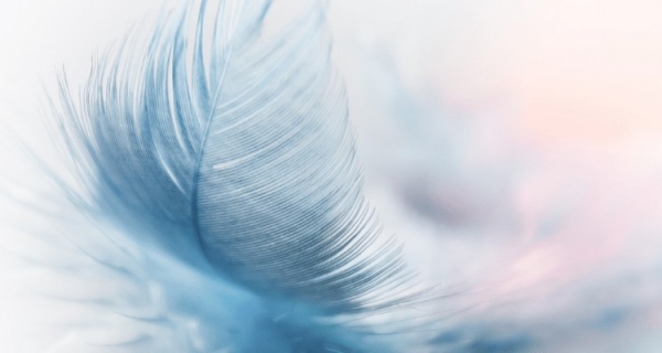 Jak miłość leczy strach - David R. Hawkins