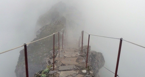 Lekarstwo na lęk – recepta dr. Hawkinsa