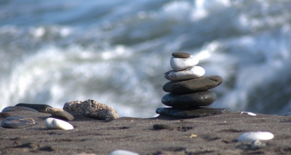 O nauce i polach duszy - Rupert Sheldrake i Matthew Fox 