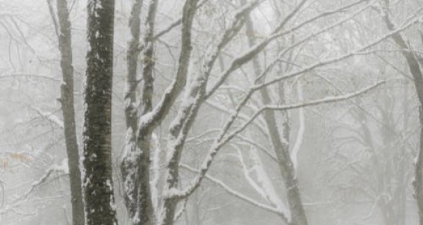 Opowieść o duchowości - David R. Hawkins