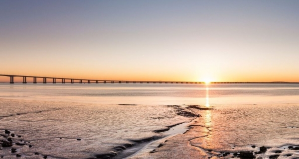 Duchowe oświecenie. Cholernie osobliwe...