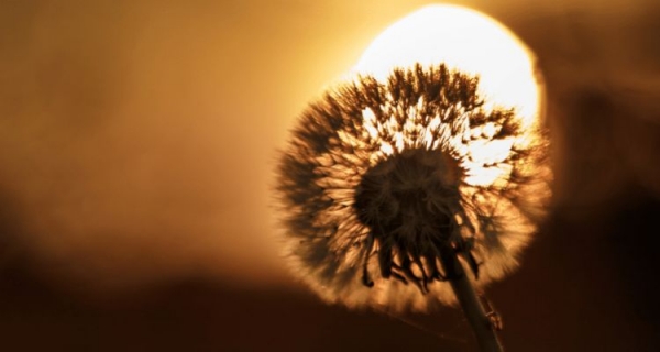 Mapa to nie terytorium – o poszukiwaniach duchowej ścieżki - recenzja książki