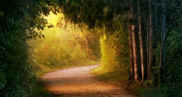 Duchowe oświecenie. Cholernie osobliwe - recenzja