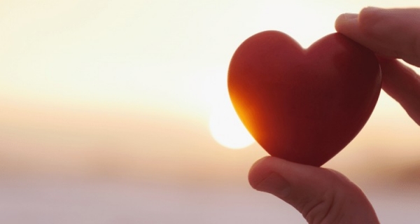 Serce i Seks - miłosny duet według Aleksandra Lowena - recenzja książki