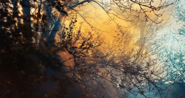 Książka Jeda McKenny dotyka najgłębszych pokładów własnego ja - recenzja