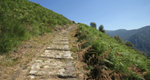 Strach vs. Ochota - recenzja 