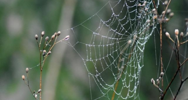 Świadome śnienie – wierzenia Aborygenów - recenzja książki