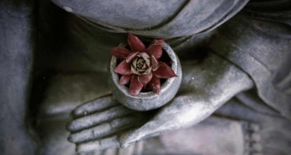 Zabij Buddę - Jed McKenna