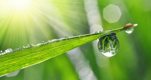 Bolesne przebudzenie - recenzja książki "Oświecenie duchowo niepoprawne"