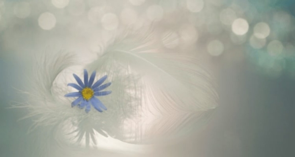 Świadomość i poczęcie