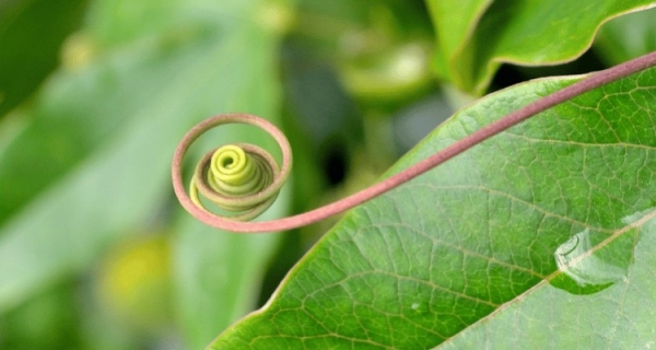 Duchowe repetytorium - recenzja książki Davida Hawkinsa „Ego a prawdziwy Ty”