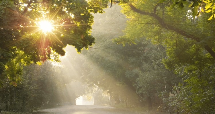 Praktyczne zastosowania