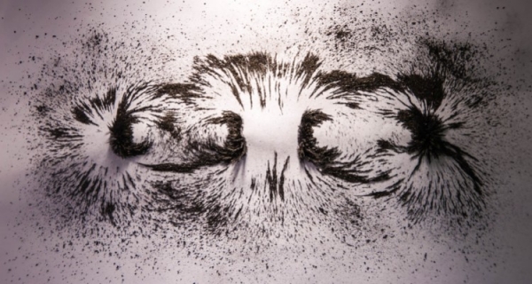 Rupert Sheldrake czyli morfogenetyczna rewolucja cz.1