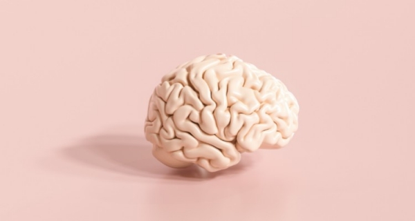 Claude Sabbah – twórca Totalnej Biologii Organizmów Żywych