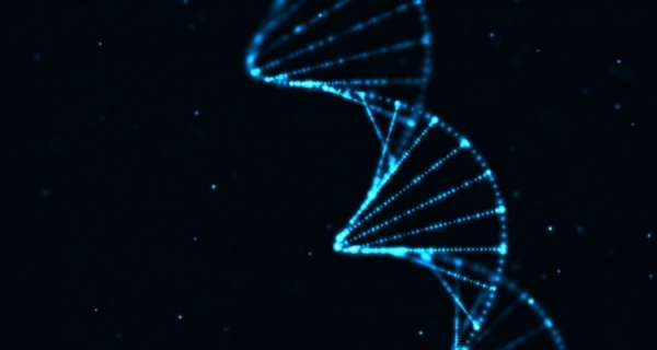 Pamięć pokoleniowa - nowe badania