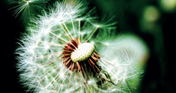 Ciemność w nowym Świetle