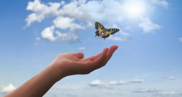 Wywiad z Richardem Overly: dr Eva Reich i Łagodna Bio-Energetyka